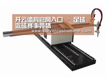 案例展示一