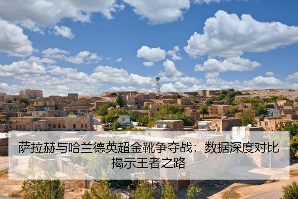 sa-la-he-yu-ha-lan-de-ying-chao-jin-xue-zheng-duo-zhan-shu-ju-shen-du-dui-bi-jie-shi-wang-zhe-zhi-lu-2-988.jpg