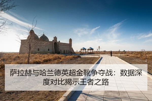 sa-la-he-yu-ha-lan-de-ying-chao-jin-xue-zheng-duo-zhan-shu-ju-shen-du-dui-bi-jie-shi-wang-zhe-zhi-lu-3-404.jpg