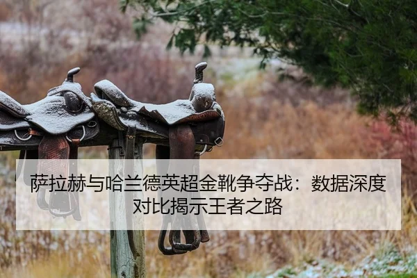 萨拉赫与哈兰德英超金靴争夺战：数据深度对比揭示王者之路