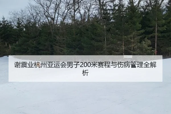 谢震业杭州亚运会男子200米赛程与伤病管理全解析