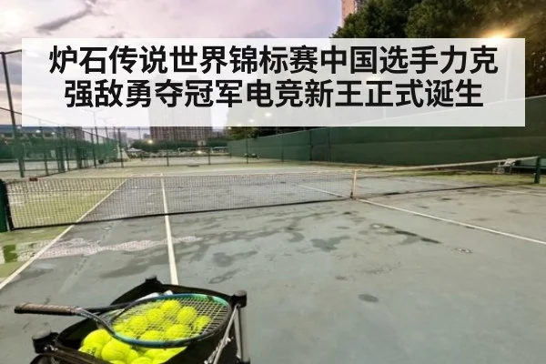 炉石传说世界锦标赛中国选手力克强敌勇夺冠军电竞新王正式诞生