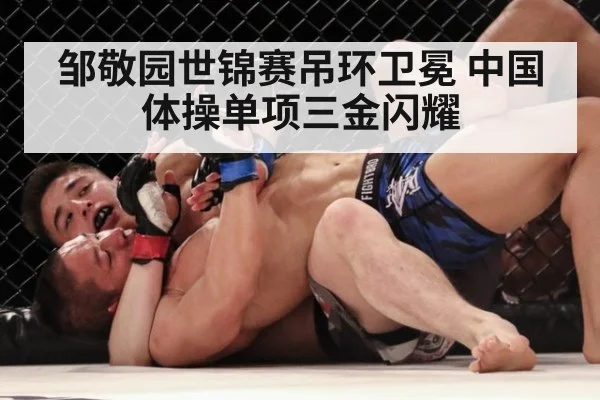 邹敬园世锦赛吊环卫冕 中国体操单项三金闪耀